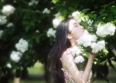 怎么拍出这种微微发光的片子？