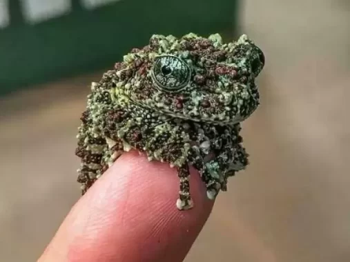 18个不可思议的事实：这个世界，比你以为的还精彩