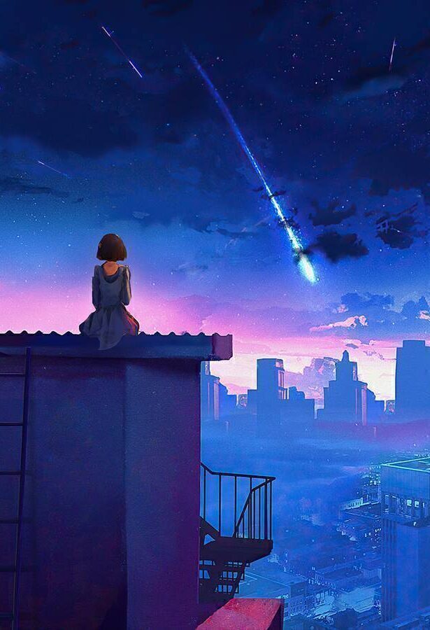 桌面壁纸 011 4k 晚上 坐在屋顶的女孩 背影 星空 流星 唯美 动漫 高清壁纸