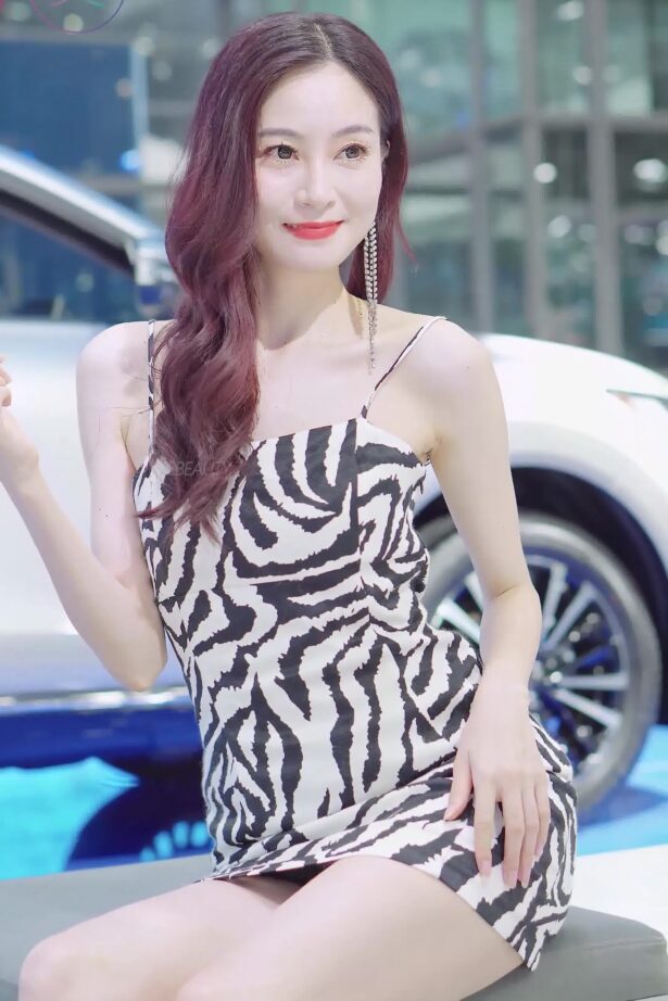 NO.1622 2023 深圳大湾区车展 Racing Model TOYOTA车模06[1V/287MB]